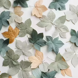 the leaves on the table are arranged together