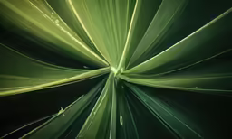the green vegetation is blurry and has a black background