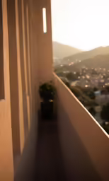 a close up of a plant with a view