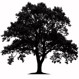 a large tree is shown in the middle of a silhouette