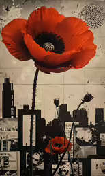 a couple of red flowers against a black and white background