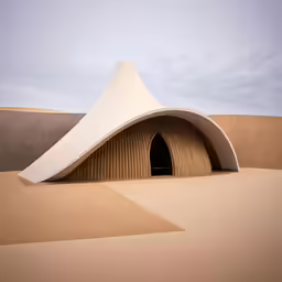 the white curved structure is very interesting