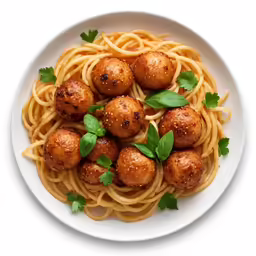 spaghetti with meatballs and parsley garnish on it