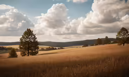 a very wide open field with some trees and hills in the distance