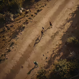 an aerial view of two horses and a man riding a horse