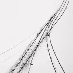 electric wires, in silhouette with some lightening and white sky