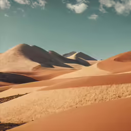 a group of sand dunes surrounded by mountains
