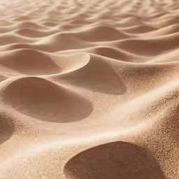 a lot of sand with different sized ridges in it