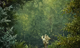 an area with trees, bushes and bushes that has no leaves on it