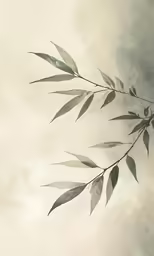 a close up of some leafs on a tree