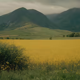 an image of a hill behind a field