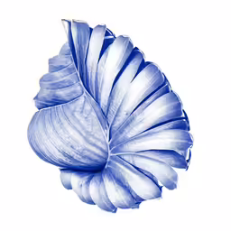 an image of blue leaves on white background
