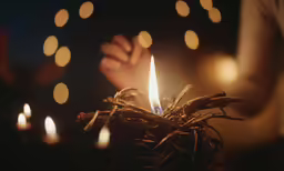 a close up of a lit candle in a nest