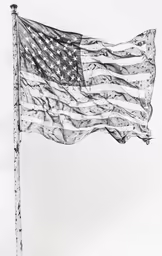 a american flag is flying on a pole
