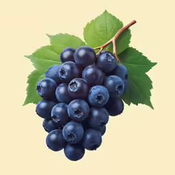 the blue berries are still on the vine