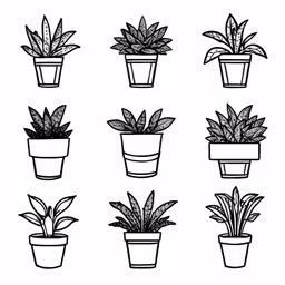 a set of potted plants with different leaves in them