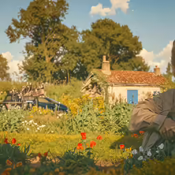 an older lady sitting down in the grass