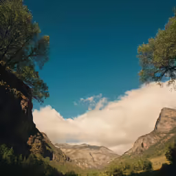 some trees and hills and clouds and water
