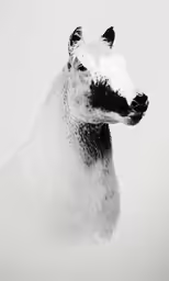 a large polar bear is posed for a picture