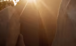 the sun shining over some rocks and a tree