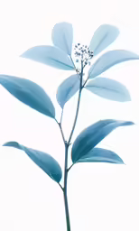 a blue plant with small white flowers on it