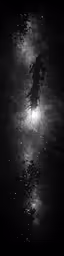 a tree in the fog with the night sky reflected