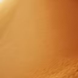 the shadow from the sand dune on a hot day