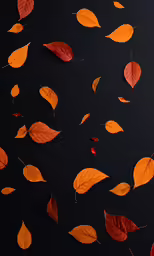 a group of red leaves on a black background
