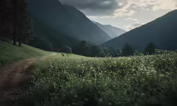 a dirt road winding through lush green fields