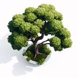 a tree with green leaves and very thin roots