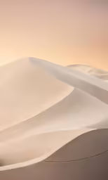 the sand is white with sparse brush and a sky line