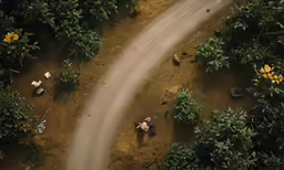 a aerial view of a dirt road passing through some plants