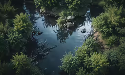 the pond is surrounded by green bushes and trees