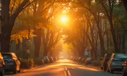 the sun shines brightly through trees and leaves