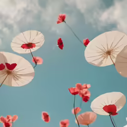 several white umbrellas are in the air on a clear day