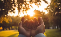 a person cupping their hands as the sun sets