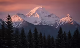 a snow covered mountain and trees with the sun rising behind it