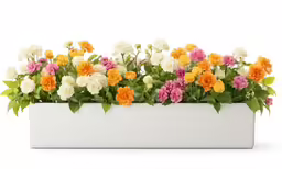 an assortment of multicolored flowers in a white planter