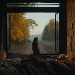 woman looking at the landscape out an open window