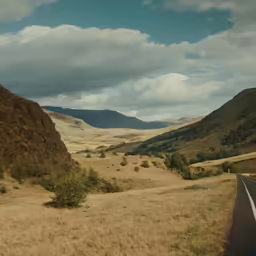 there is a small hill and tree near the road