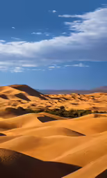 a lone bench sits on a dune in the sahara