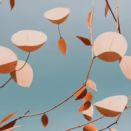 an image of leaf shapes that appear to be made