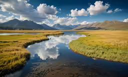 a body of water sitting next to a lush green field