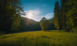 the sun is shining in the sky above a green field