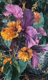 two flowers in an artistic flower bouquet