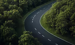 a winding road surrounded by trees and plants