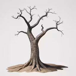 an art image of an old tree and two branches