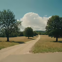 the road runs down a dirt road between trees
