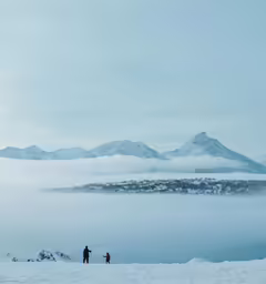 a snowy landscape with mountains in the background