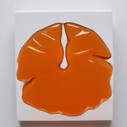 a picture of a painting of a orange object